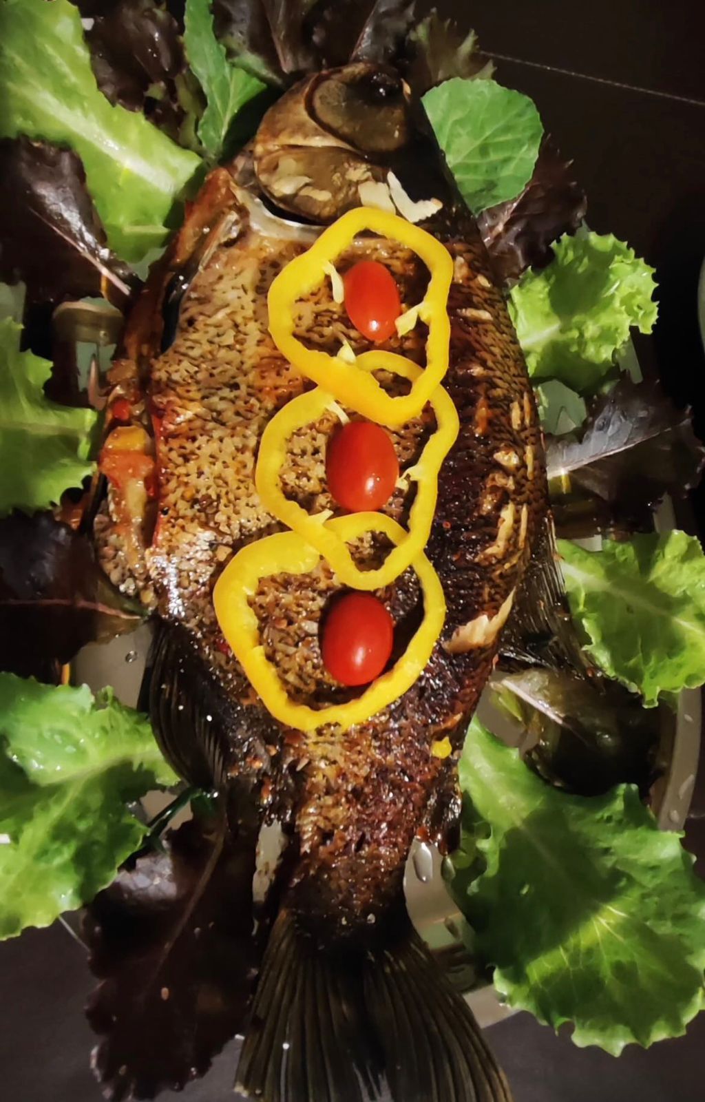 WhatsApp Image 2026-02-09 at 13.39.16 (2)