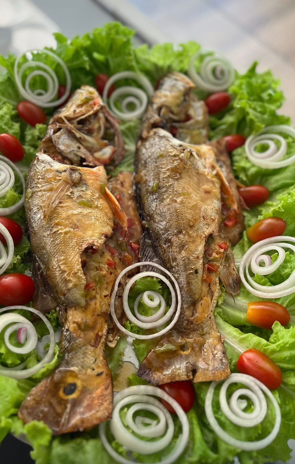 WhatsApp Image 2026-02-09 at 13.39.17