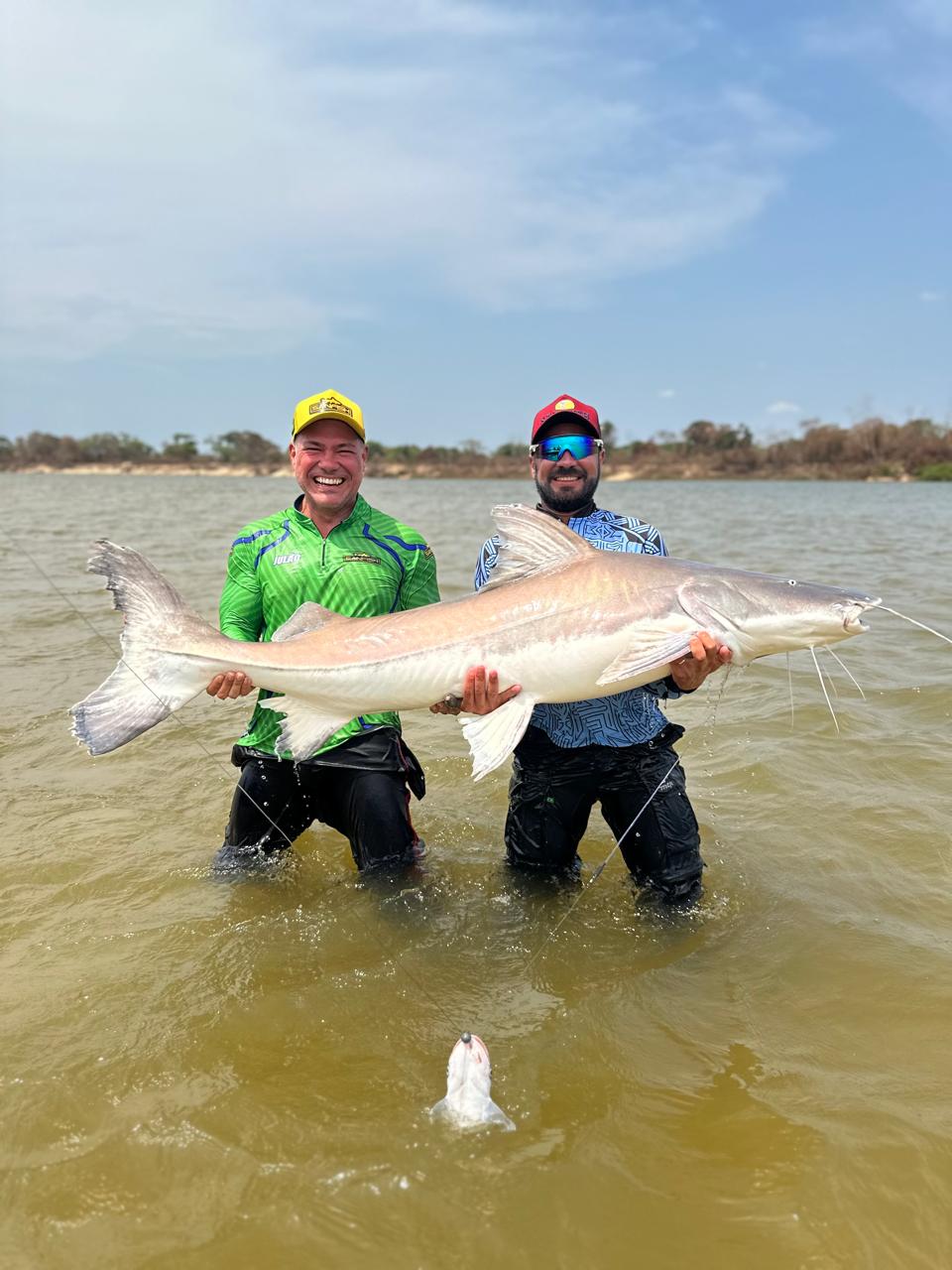 WhatsApp Image 2026-02-10 at 19.52.21