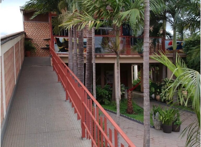 WhatsApp Image 2026-02-13 at 10.42.03