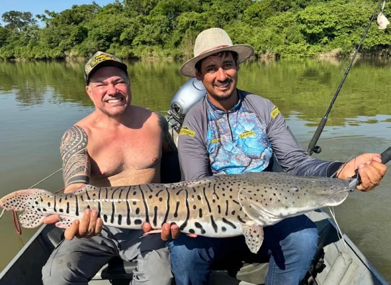 WhatsApp Image 2026-02-13 at 15.57.27